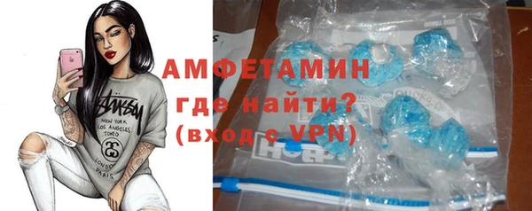 шишки Абаза