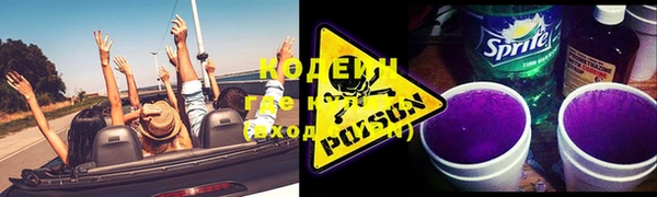 шишки Абаза