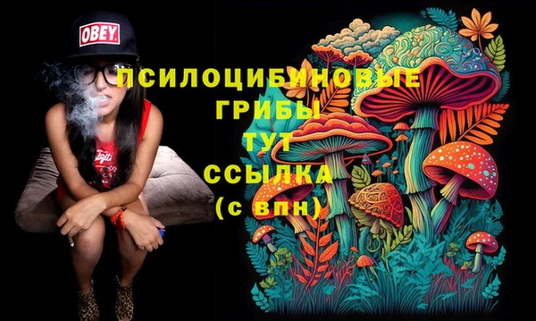 mix Алексин