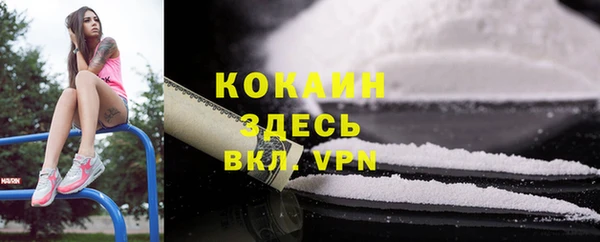 шишки Абаза