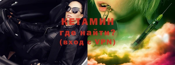 шишки Абаза