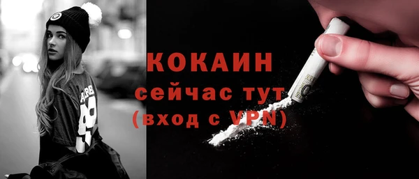 шишки Абаза