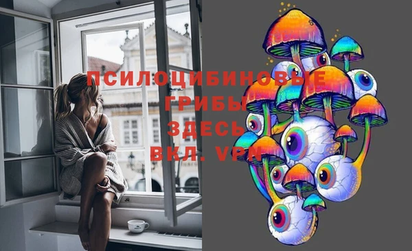 шишки Абаза