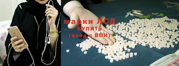 шишки Абаза