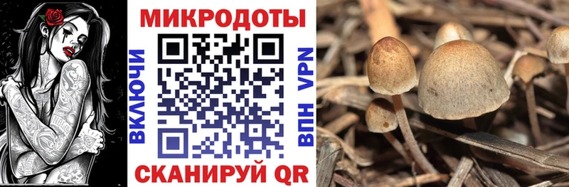 Галлюциногенные грибы MAGIC MUSHROOMS  Кирсанов 